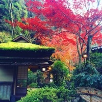 うかい鳥山 - 