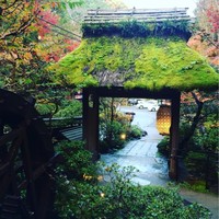 うかい鳥山 - 