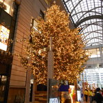 パティスリー・ジョルジュマルソー - 大丸のイルミネーション