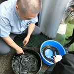 うなぎ亭 友栄 - 平成28年霜月