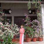 No.5 Emerald Hill Cocktail Bar - お手入れの行き届いた鉢植え