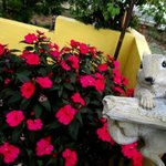 シュクラン - (2016,11/13)