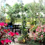 シュクラン - (2016,11/13)