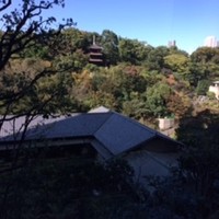 イル・テアトロ - 椿山荘　お庭