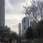 BBQ BOX - 夕暮れのオーチャード