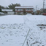 Soshishuka Taiwan Kozararyouri - 東京も11月に雪が積もりました( ಠωಠ)大丈夫かー地球！