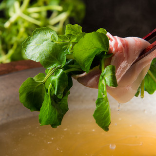 水炊き吟醸もつ鍋 由乃_1