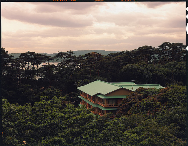 れすとらん海音（うみね）松島の海鮮料理｜手樽