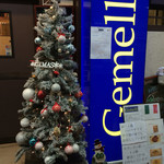 創作イタリアン Gemelli - クリスマスツリー飾っているよ
