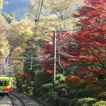高尾山スミカ - 2016.11