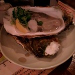 恋文酒場 かっぱ - 