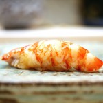 鮨 たかはし - 車海老