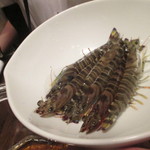 東京チャイニーズ 一凛 - 「酔っ払い海老」に使う海老