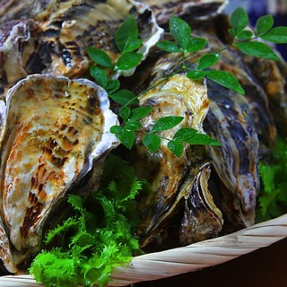 加藤水産直送 いとう_2