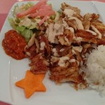 Yıldız Turkish Restaurant & Bar ユルディズ トルコレストラン - チキンケバブ