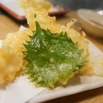 海鮮居酒屋 一の星 - やわらかイカ天