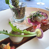 International cuisine subzero - 