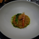 セララバアド - 才巻海老