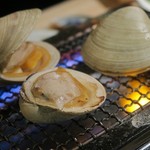 日本のお酒と浜焼料理‐ウラオンサカバ‐ - 白ハマグリ（ホンビノスガイ）