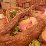 アティコドス - アカヤガラ