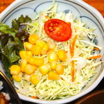 たぬ金亭 - サラダ付き