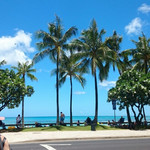 Kai Coffee Hawaii  - 