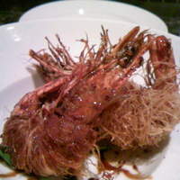 クインチチェントラーレ - エビパリこれは美味しい