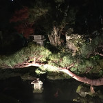 芹生 - 中庭、ライトアップ