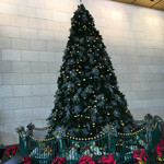 フレンチビストロ ル ドール - ガーデンシティのクリスマスツリー