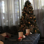 フレンチビストロ ル ドール - 店内のクリスマスツリー