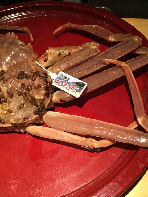 Ryoriya Nakajima photo 3