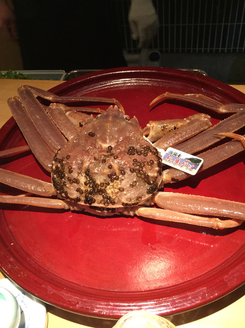 Ryoriya Nakajima photo 2