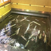 稚加榮 本店 - 