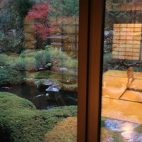 芹生 - お部屋から中庭が見渡せます♪