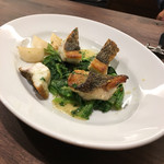 コーダ - クロダイ