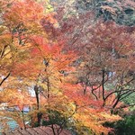 十一丁目茶屋 - 