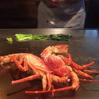 煉 今泉店 - 