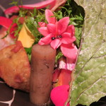 神保町 傳 - 28年11月　サラダ、千葉の蟻