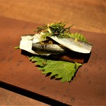 アカ - 16.11月　いわしのボカティージョ