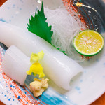 居酒屋 - アオリイカの刺身