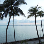 Sarkies - 夜が明けて朝７am・・