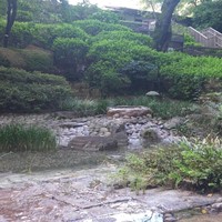 チリエージョ - 