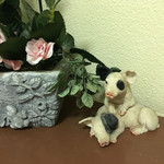 とんかつあさくら - 