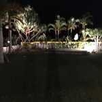 グランブルー - 夜のお庭