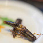 宝来家 - 螽（いなご）擴大圖（おほきなゑ）　※ピンボケ御免