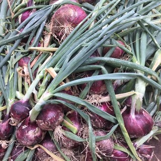 体に優しい食材を選んでいます。