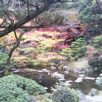ルアン 神戸迎賓館 - 