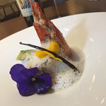 ル スプートニク - 