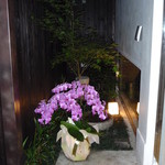 マクロビ割烹ＮＡＫＡ - 緑が美しいもみじと愛らしい胡蝶蘭☆