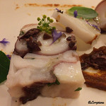 カーサ・デル・チーボ - 蛸のテリーナ